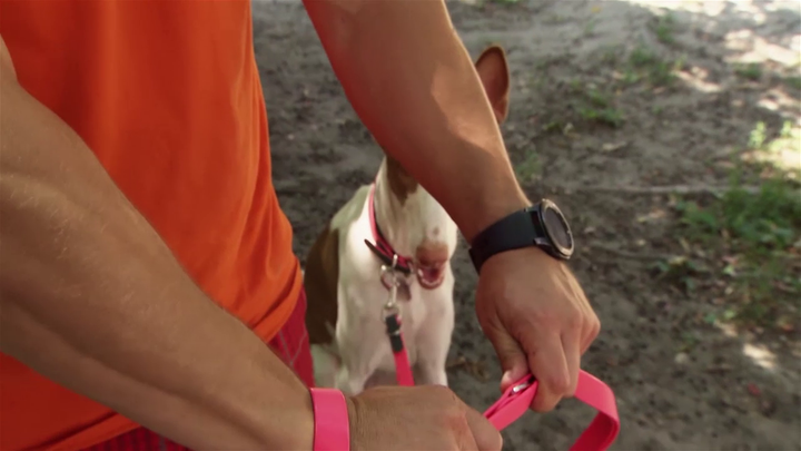 Ako prvé sa musíme vedieť naučiť pracovať s vôdzkou